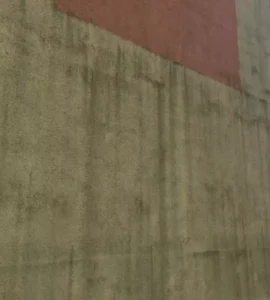 Plisne na fasadach domu