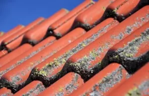 Čištění a renovace taškových střech