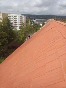 Čištění od mechů a nečistot