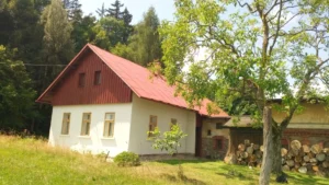 Nátěry a renovace střech