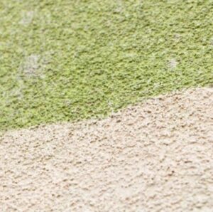 Odstranění zelených povlaků z fasád a střech